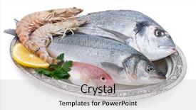  Presentation with shrimp fish - Colorful presentation theme enhanced with fish and shrimp in authentic backdrop and a light gray colored foreground