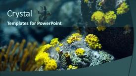  Presentation with water tank - Theme enhanced with fish-and-the-reef-water background and a ocean colored foreground