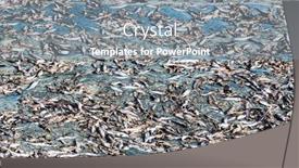  Presentation with sunlight - Audience pleasing slide deck consisting of fish-are-being-dried backdrop and a gray colored foreground