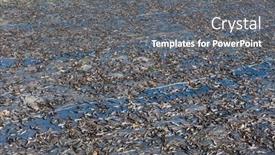  Presentation with sunlight - Slide deck having fish-are-being-dried background and a gray colored foreground