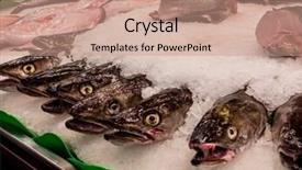 Presentation with fish by product - Amazing theme having fish at the fish market backdrop and a coral colored foreground