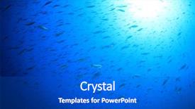  Presentation with water sun - Slide deck with animal conservation - fish blue water sun sea background and a dark gray colored foreground