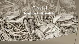  Presentation with fish river - Presentation consisting of fish-bones-and-remains-left background and a gray colored foreground