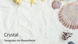  Presentation with shells - Theme having fish border - starfish and shells background and a white colored foreground