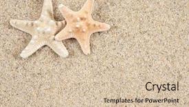  Presentation with fish beach - Theme featuring fish border - starfish in the beach sand background and a soft green colored foreground