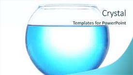  Presentation with isolated paw prints over white - Amazing theme having fish bowl isolated on white backdrop and a  colored foreground