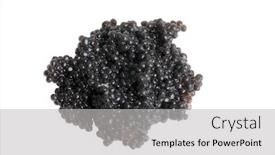  Presentation with caviar - Presentation theme with fish caviar in a plate on a white background background and a light gray colored foreground