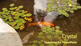  Presentation with frozen ice cold fish - Cool new theme with fish colors in the park backdrop and a tawny brown colored foreground