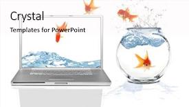  Presentation with virtual - Amazing presentation having goldfish laptop - concept of jumping backdrop and a white colored foreground