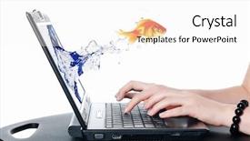  Presentation with goldfish - Colorful slides enhanced with goldfish and laptop backdrop and a white colored foreground