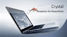  Presentation with goldfish - Amazing slide deck having goldfish jump backdrop and a sky blue colored foreground