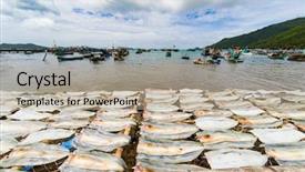  Presentation with fishing boats - Theme consisting of fish drying in the sun background and a mint green colored foreground