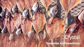  Presentation with fish - Audience pleasing PPT theme consisting of fish drying in the sun backdrop and a coral colored foreground