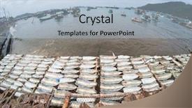  Presentation with fishing boats - Slide deck having fish drying in the sun background and a light blue colored foreground