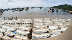  Presentation with vietnam culture - Amazing slide set having fish drying in the sun backdrop and a mint green colored foreground