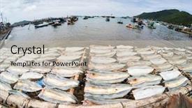  Presentation with vietnam culture - Presentation design consisting of fish drying in the sun background and a soft green colored foreground