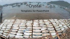  Presentation with vietnam culture - Slide deck featuring fish drying in the sun background and a light blue colored foreground