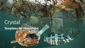  Presentation with fish ocean - Cool new PPT theme with fish-eating-plastic-in-polluted backdrop and a ocean colored foreground