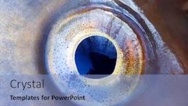  Presentation with animal eye - Cool new presentation with fish-eye-close-up-detail backdrop and a light blue colored foreground