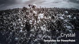  Presentation with lens - PPT layouts enhanced with fish-eye-lens-view background and a wine colored foreground