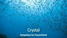  Presentation with fish ocean - PPT theme with fish flowing in indian ocean background and a gray colored foreground