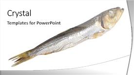  Presentation with food fish - PPT theme with stack of wood abstract photo background and a gold colored foreground.