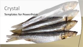  Presentation with food fish - Colorful PPT layouts enhanced with fish-food-isolated-on-white backdrop and a white colored foreground