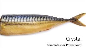  Presentation with head - PPT theme with fish gut - smoked mackerel without head isolated background and a  colored foreground