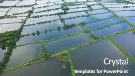 Presentation with hatchery - Colorful theme enhanced with fish hatchery pond from above backdrop and a gray colored foreground