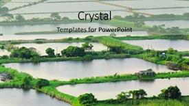  Presentation with hatchery - PPT theme having fish hatchery pond background and a light gray colored foreground