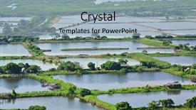  Presentation with hatchery - Colorful slides enhanced with fish hatchery pond backdrop and a light blue colored foreground