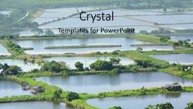  Presentation with fish pond - Presentation theme having fish hatchery pond background and a light blue colored foreground