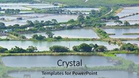  Presentation with hatchery - Colorful PPT layouts enhanced with fish hatchery backdrop and a light blue colored foreground