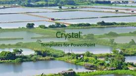  Presentation with hatchery - PPT layouts consisting of fish hatchery background and a seafoam green colored foreground