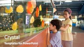  Presentation with tank - Cool new PPT theme with fish in a big tank backdrop and a coral colored foreground