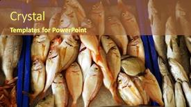  Presentation with turkey - Presentation design consisting of fish-in-a-fishmarket background and a tawny brown colored foreground