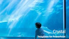  Presentation with fish aquarium - Slide set featuring fish in a giant tank background and a teal colored foreground