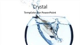  Presentation with fish aquarium - Presentation theme enhanced with fish in aquarium isolated on white background and a white colored foreground