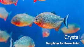  Presentation with fish aquarium - Theme enhanced with fish in aquarium saltwater world background and a ocean colored foreground