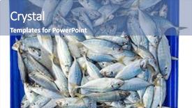  Presentation with box - Cool new PPT theme with fish in blue box isolated backdrop and a ocean colored foreground