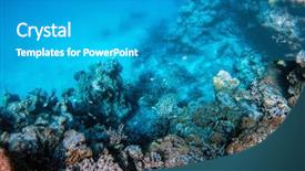  Presentation with tropical reef fish - Audience pleasing PPT theme consisting of fish in indian ocean backdrop and a teal colored foreground