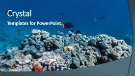  Presentation with tropical reef fish - Colorful slide set enhanced with fish in indian ocean backdrop and a ocean colored foreground