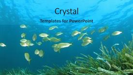  Presentation with mediterranean - PPT theme featuring fish in mediterranean sea background and a cyan colored foreground