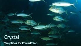  Presentation with runners - Slide set enhanced with fish in ocean trevallies jacks background and a forest green colored foreground