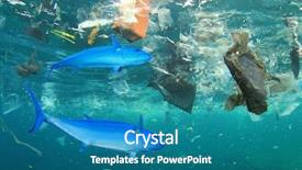  Presentation with fish tuna - Colorful theme enhanced with fish in plastic polluted ocean backdrop and a teal colored foreground