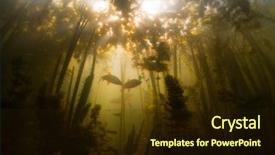  Presentation with fish pond - Slide set with fish in the fresh water background and a wine colored foreground