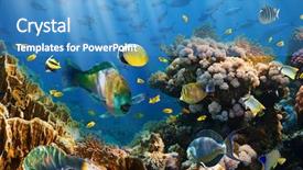  Presentation with egypt - Theme with fish in the red sea background and a teal colored foreground