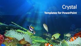  Presentation with fish - PPT layouts enhanced with fish in the sea background and a teal colored foreground