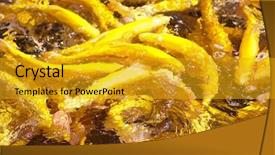  Presentation with fish farm - Cool new presentation theme with fish in water fresh trout backdrop and a gold colored foreground