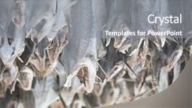  Presentation with dried banana chips - Presentation theme consisting of fish industry - dried cod stockfish background and a  colored foreground